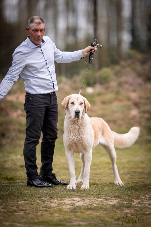 Jérôme, Fami's dog