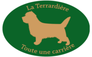 Elevage de Cairn Terrier de la Terrardière
