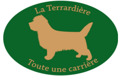 Elevage de Cairn Terrier de la Terrardière