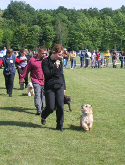 Présentation beauté avec Fami's dog